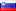 Slovenian flag icon